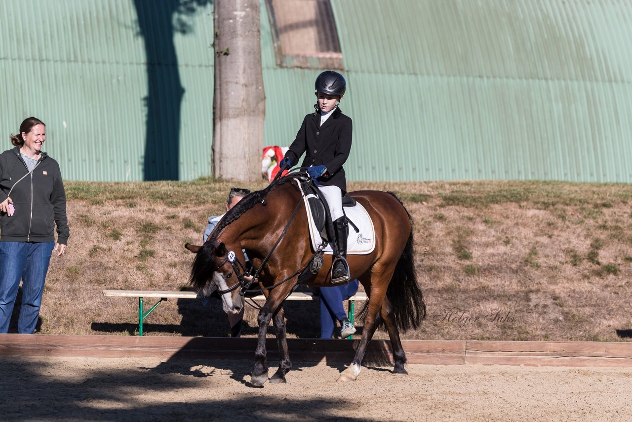 Bild 3 - Pony Akademie Turnier